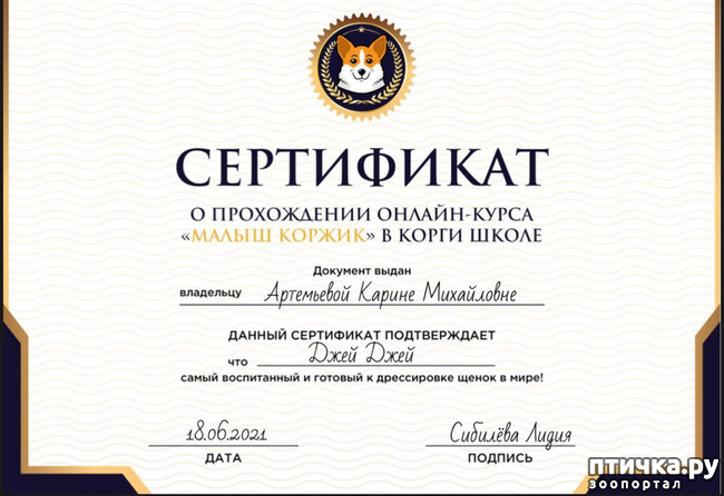  11:  