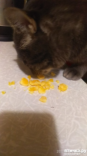 :     )))