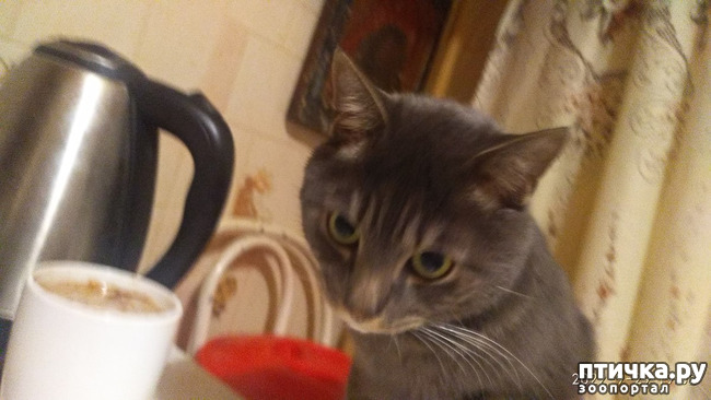  5:     )))