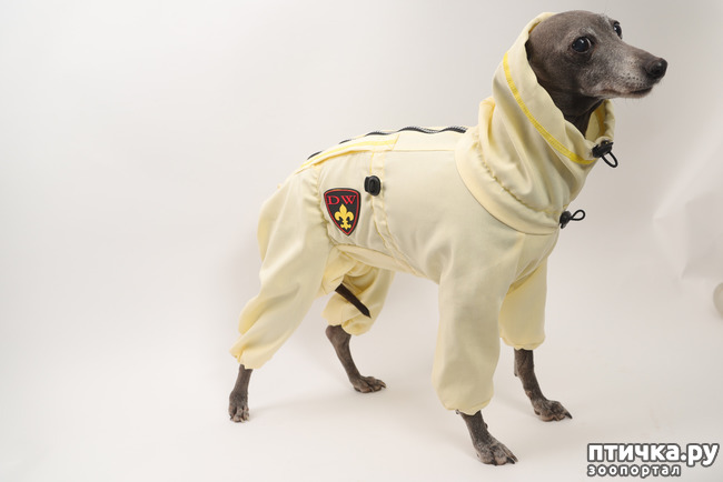 фото 4: Пыльники и костюмы от клещей для собак