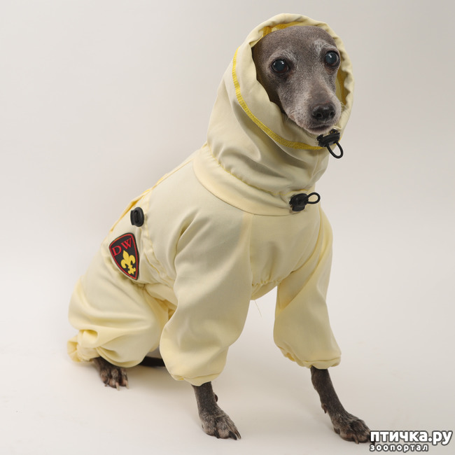 фото 2: Пыльники и костюмы от клещей для собак