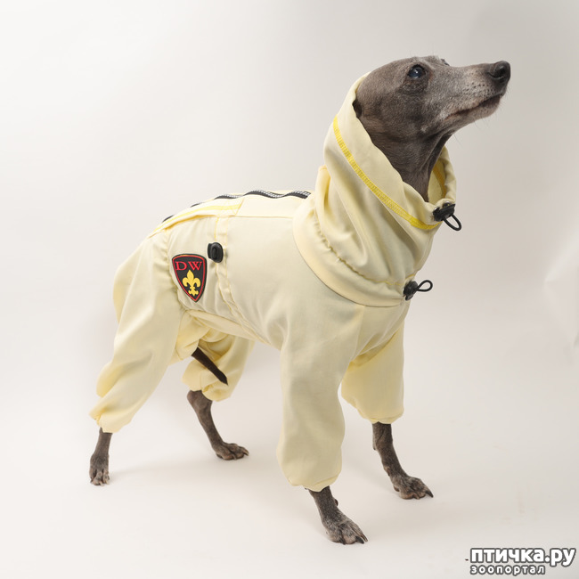 фото 3: Пыльники и костюмы от клещей для собак
