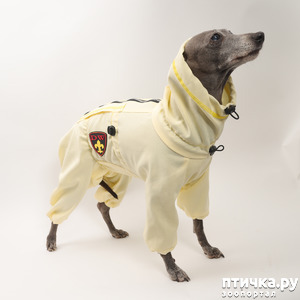 фото: Пыльники и костюмы от клещей для собак