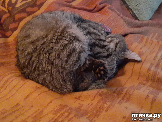  1:    