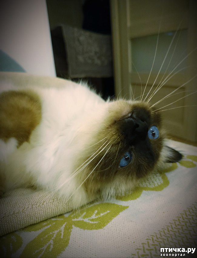  1:  