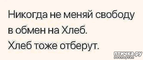  18:     