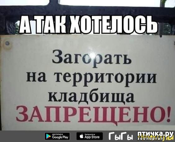  6:   ...