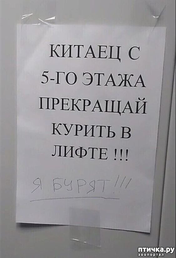  7:   ...