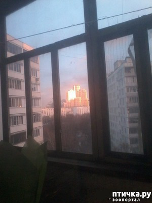 ���� 1: ������ ������-�������