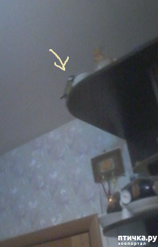 ���� 2: ������ ������-�������