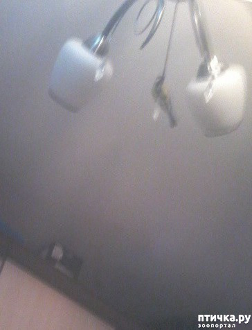 ���� 3: ������ ������-�������