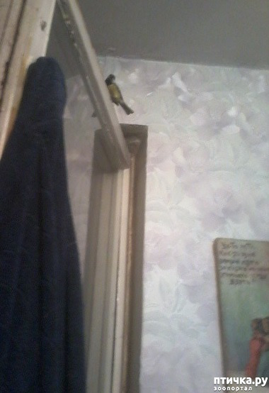 ���� 4: ������ ������-�������