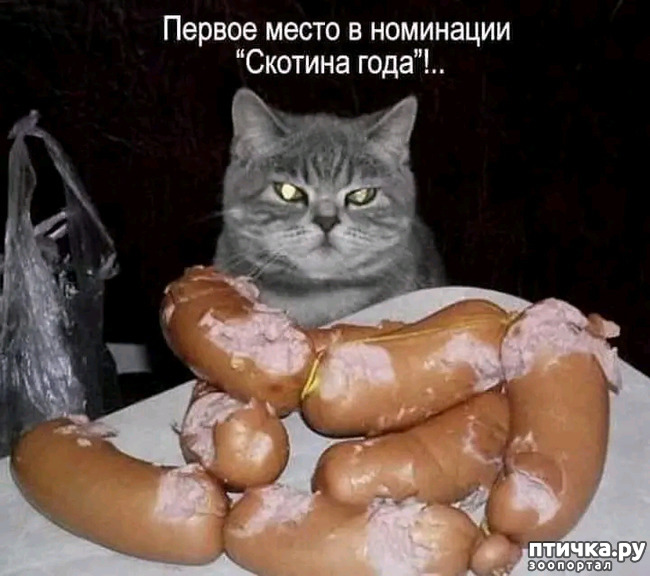  12:  - !