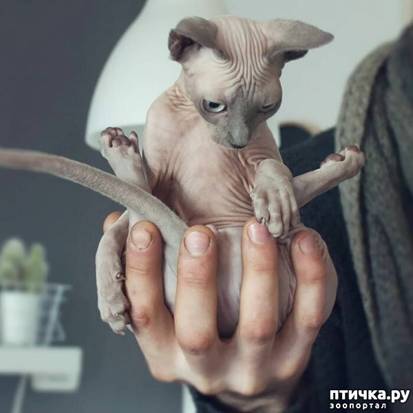  2:  