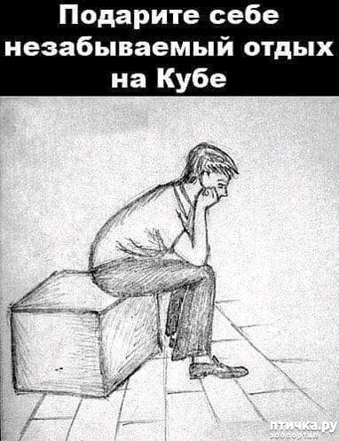 фото 14: Новости от котиков!