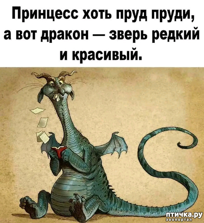 фото 11: Новости от котиков!