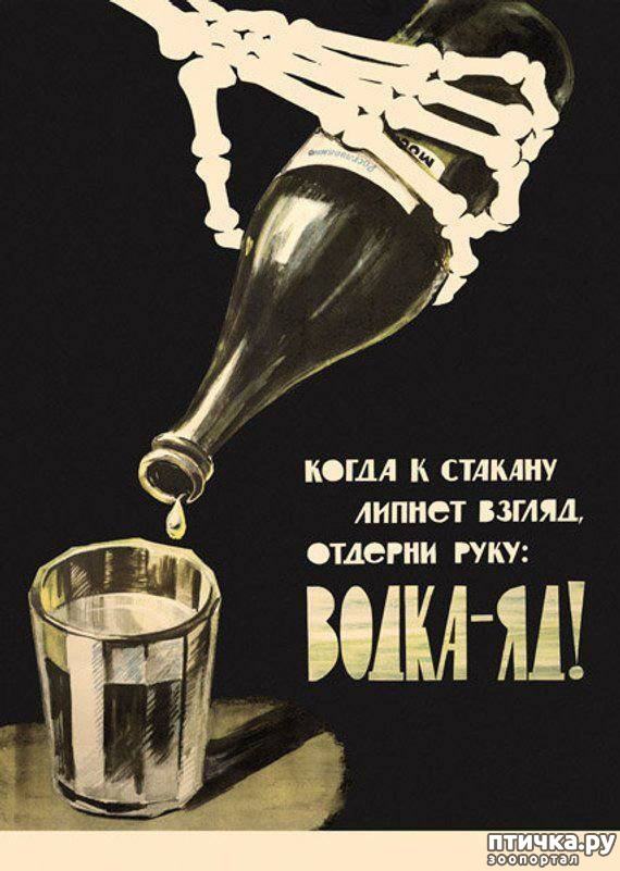 фото 28: Новости от котиков!