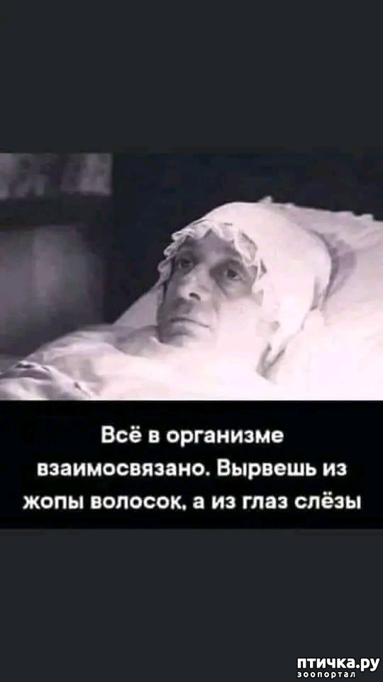 фото 23: Новости от котиков!
