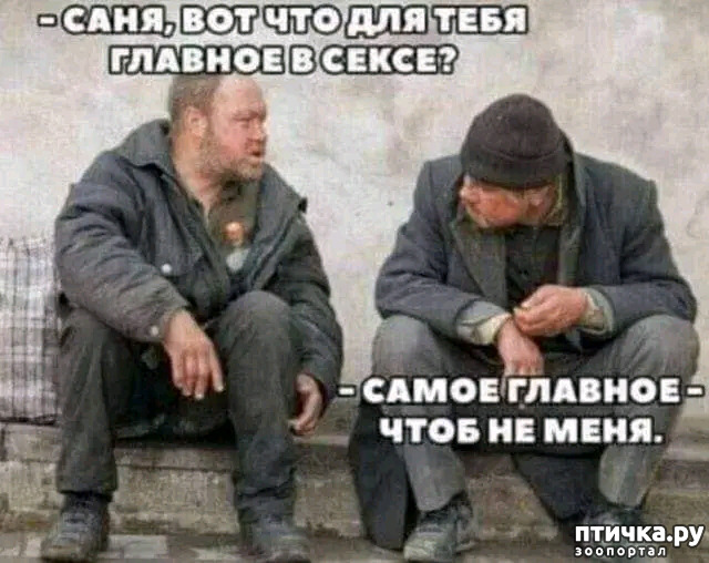 фото 26: Новости от котиков!