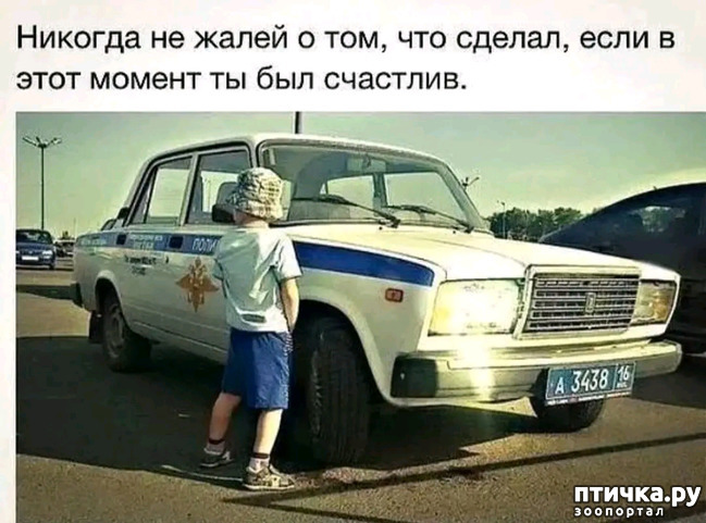 фото 24: Новости от котиков!
