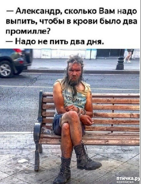 фото 27: Новости от котиков!