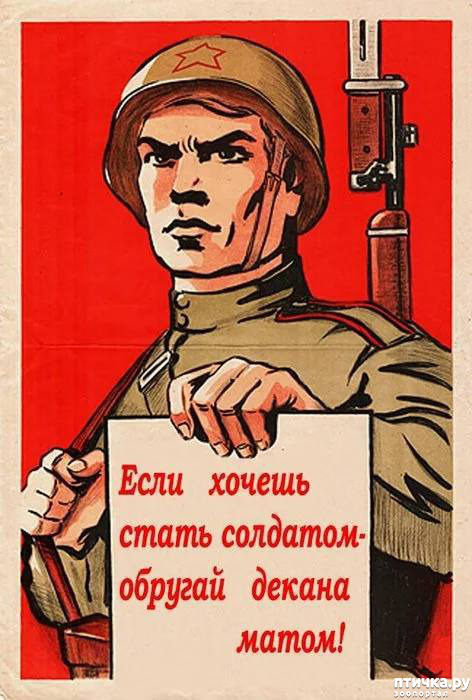 фото 30: Новости от котиков!