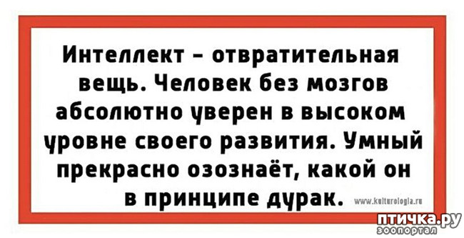 ���� 1: ������ ����������