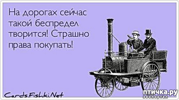 ���� 3: ������ ����������