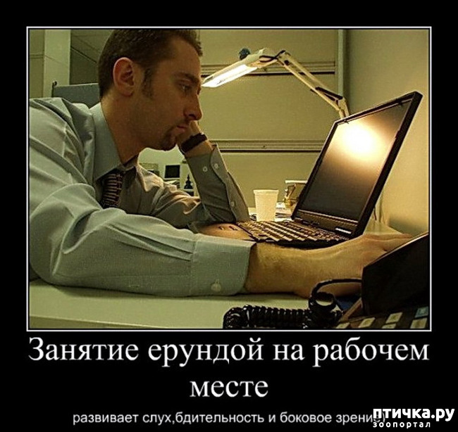 ���� 4: ������ ����������