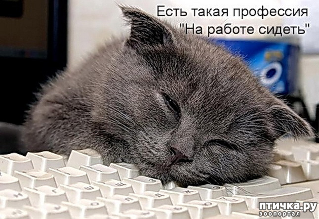 ���� 5: ������ ����������