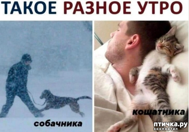 ���� 7: ������ ����������