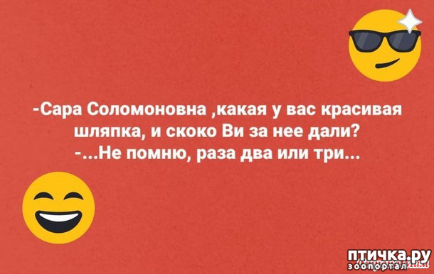 12:  - !