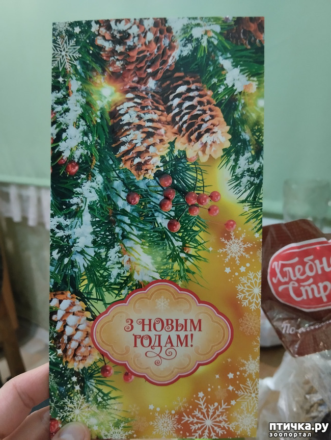 фото 1: Привет из Минска!