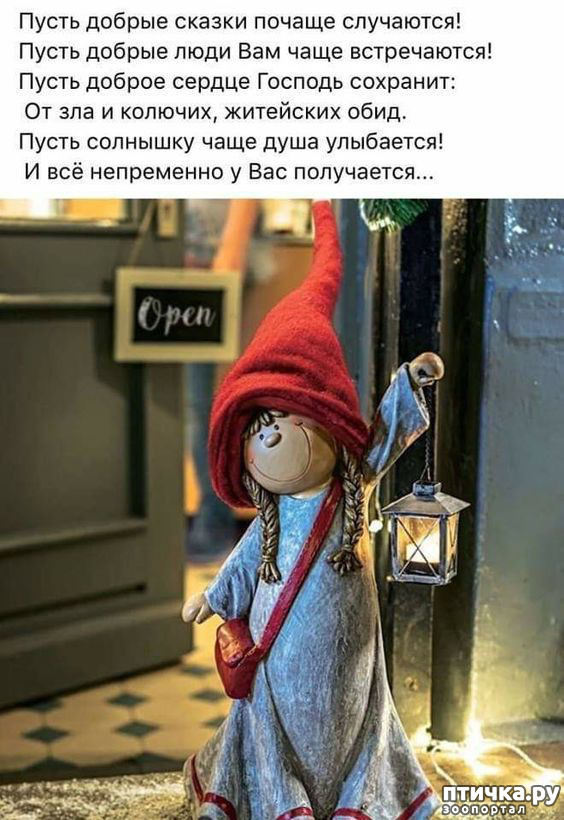  6: 