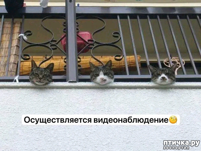 25: 