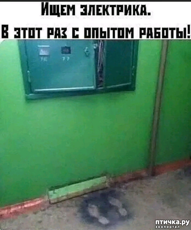  41: 
