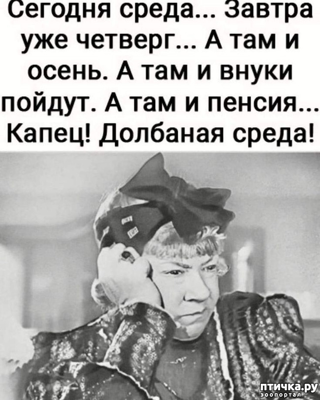  19: 1 