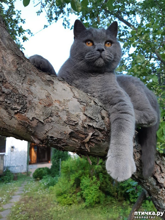 фото 1: Юбилей