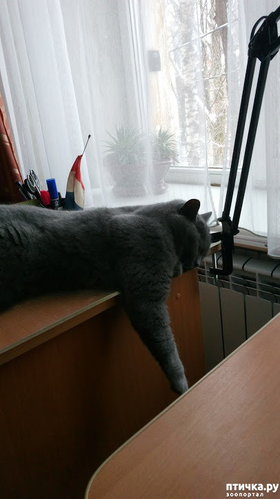 фото 2: Юбилей