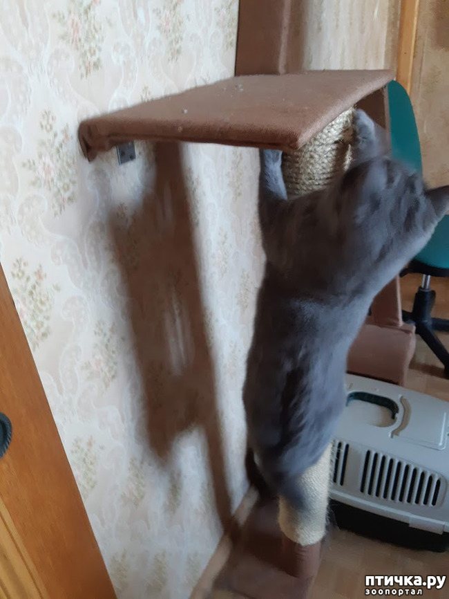 фото 3: Юбилей