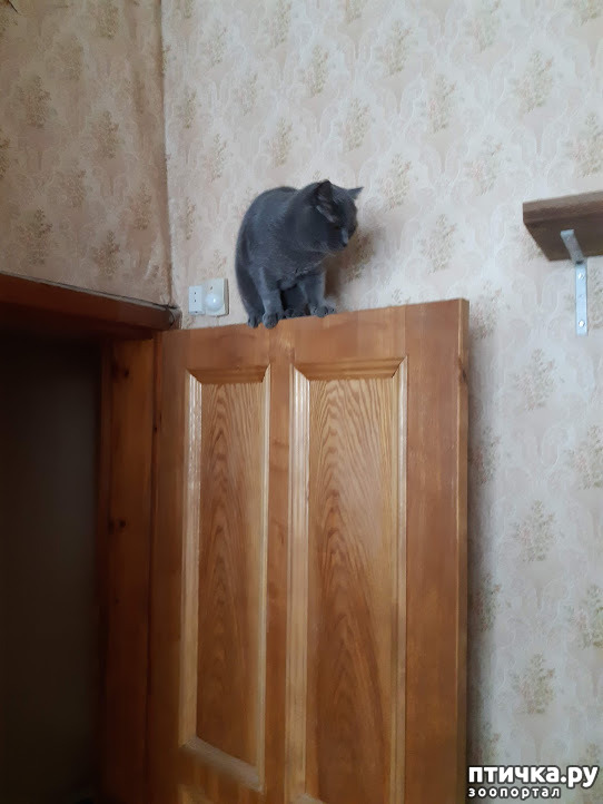 фото 5: Юбилей