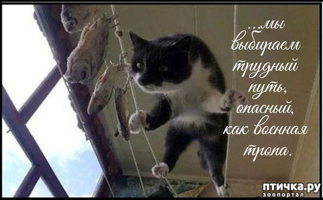  19:    