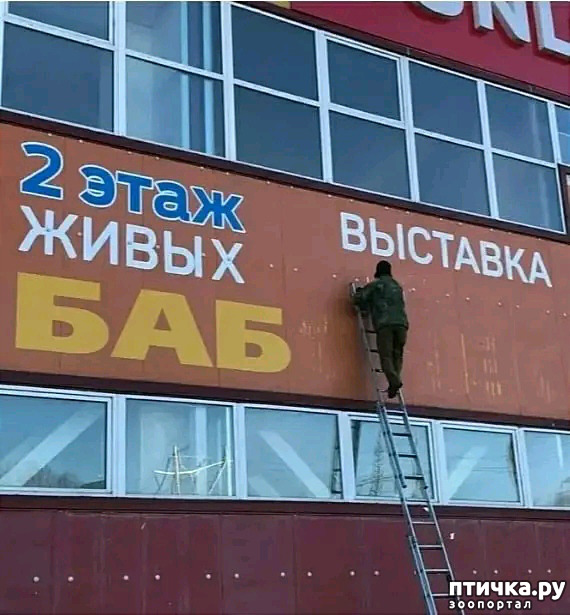  21:    