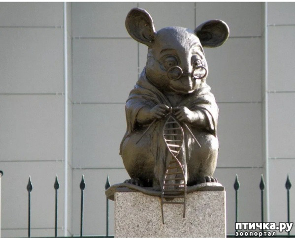 фото 2: И в честь мышей памятники ставят!