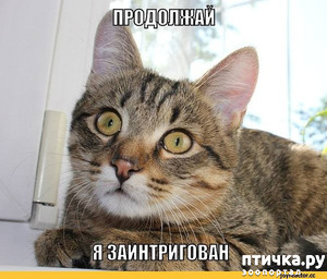 :  ,  ,    ...