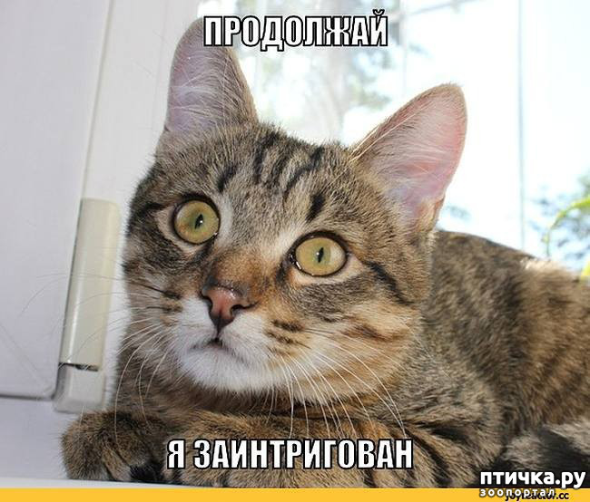  1:  ,  ,    ...