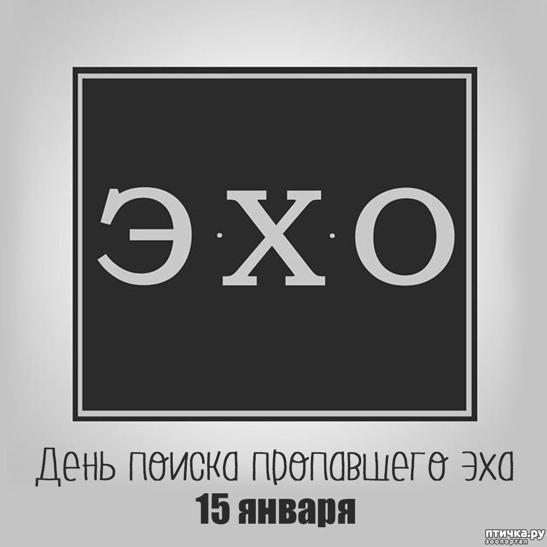День Поиска Пропавшего Эха 15 Января