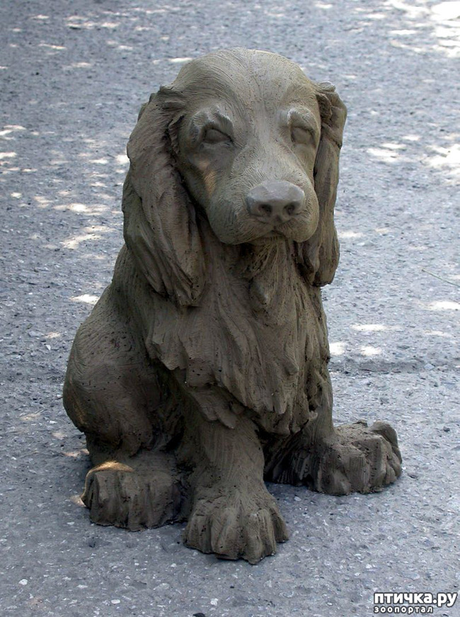 фото 4: Собаки в скульптуре