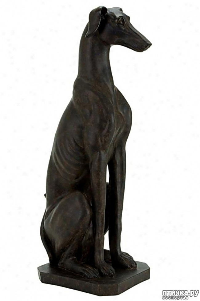 фото 6: Собаки в скульптуре