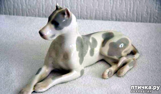 фото 10: Собаки в скульптуре